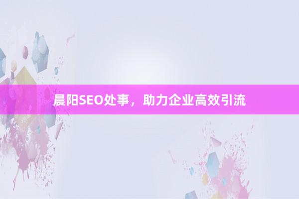 晨阳SEO处事,助力企业高效引流